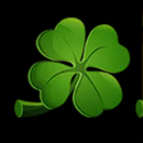 Irish Reels Paytable Symbol 6