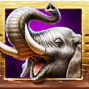 Zulu Gold Slot