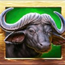 Zulu Gold Slot