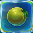 Tropicool 2 Slot