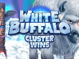 White Buffalo Cluster Wins Thumbnail Small