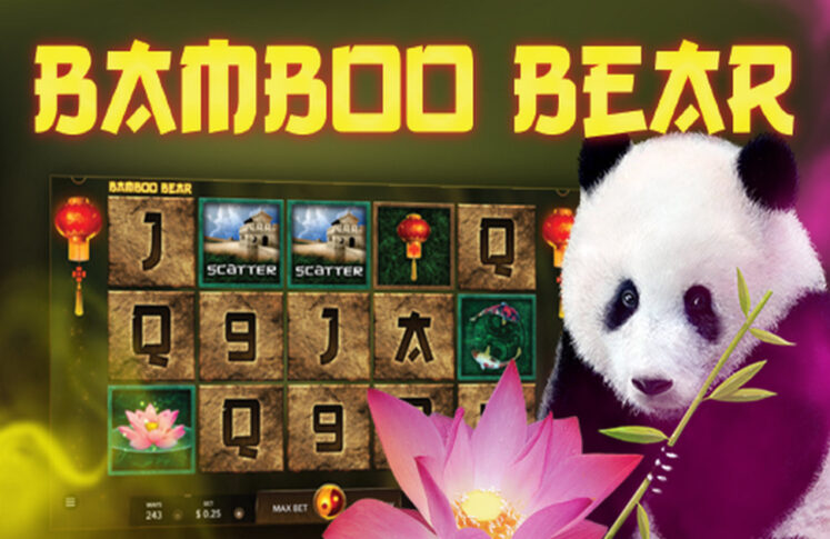 Bamboo Bear by Mascot Gaming