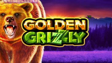 Golden Grizzly by Skywind Group