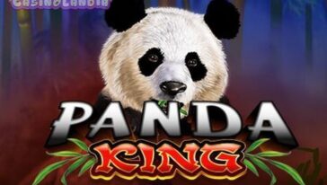 Panda King by Ainsworth