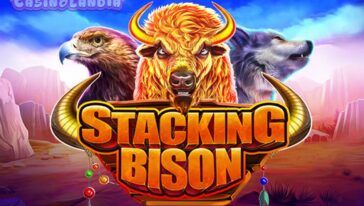 Stacking Bison by Swintt