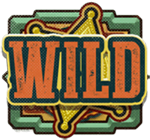 Wild Symbol Slot