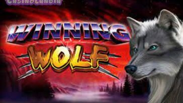 Winning Wolf by Ainsworth