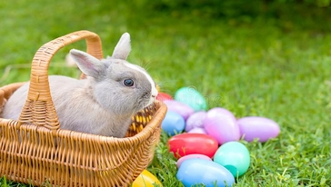 Easter Bunny Slots