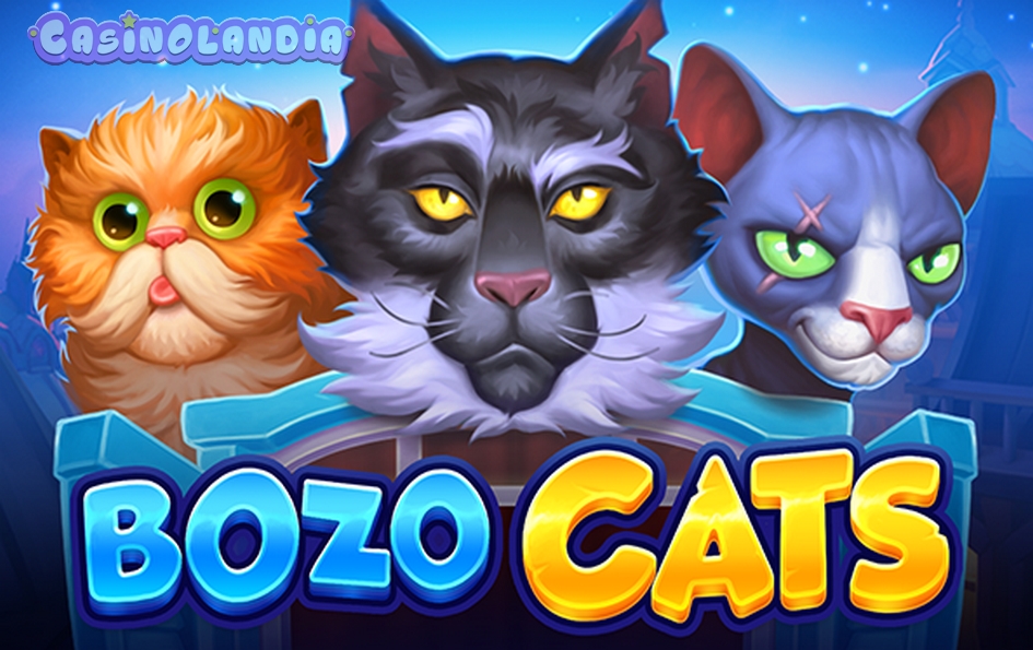 Bozo Cats by Playson