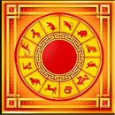 Chinese New Year Paytable Symbol 9