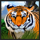 Deep Jungle Paytable Symbol 5