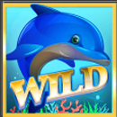 Dolphins Shine Paytable Symbol 2
