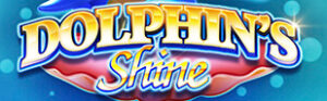Dolphins Shine Thumbnail Small