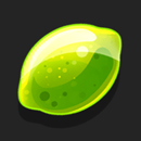 Fruits and Stars 40 Christmas Paytable Symbol 4
