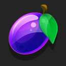 Fruits and Stars 40 Christmas Paytable Symbol 5