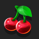 Fruits and Stars 40 Christmas Paytable Symbol 6