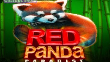 Red Panda Paradise by Genesis