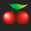 Giga Hot 40 Paytable Symbol 4