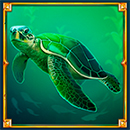 Gold of Mermaid Turtle