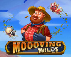 Moooving Wilds Thumbnail