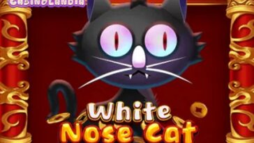 White Nose Cat by KA Gaming