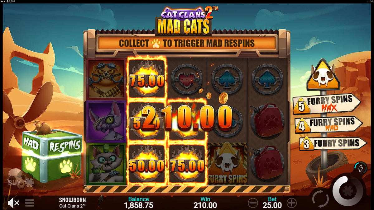 Cat Clans 2 - Mad Cats Basic Play