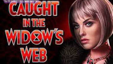 Caught in the Widow’s Web by High 5 Games