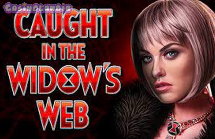 Caught in the Widow’s Web by High 5 Games