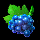 Fiery Slots Grape Symbol
