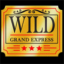 Grand Express Diamond Class Paytable Symbol 11