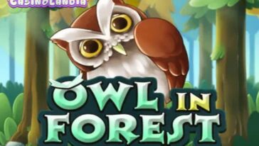 Owl In Forest by KA Gaming