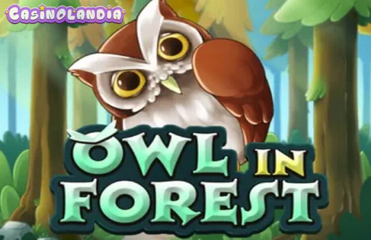 Owl In Forest by KA Gaming