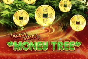 Shake Shake Money Tree Thumbnail Small