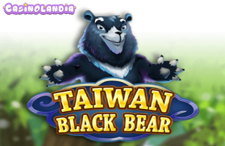 Taiwan Black Bear by KA Gaming