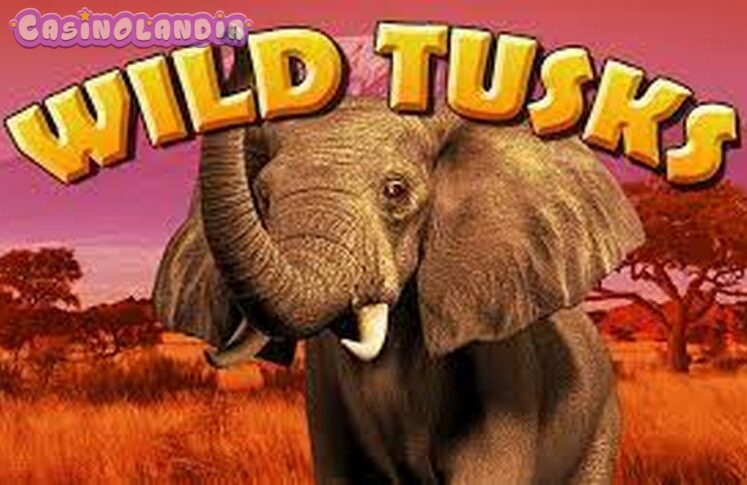 Wild Tusks by High 5 Games