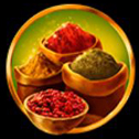silk Road Spices Symbol