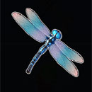 Big Bass Hold and Spinner Megaways Symbol Dragonfly