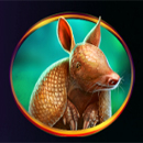 Bison Valley Symbol Armadillo