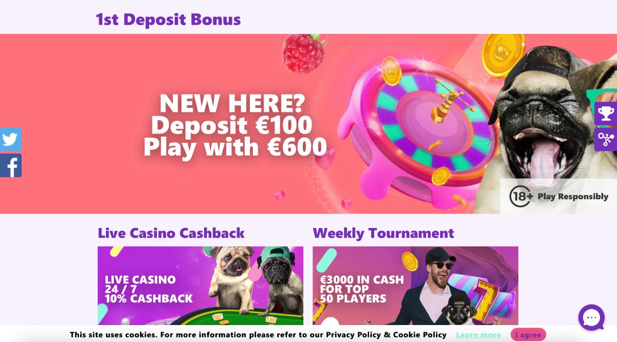 SpinPug Casino Bonus Program