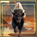 Bison Gold Symbol Buffalo