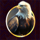 Bison Gold Symbol Eagle