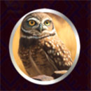 Bison Gold Symbol Owl
