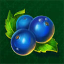 Sunshine Fruits Symbol Blueberry