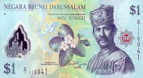 Brunei Dollar template