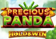 Precious Panda Hold & Win Thumbnail