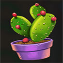 Crazy Chilli Symbol Cactus