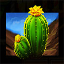 Fire Stampede Symbol Cactus