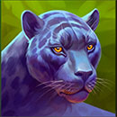 Fire Temple Hold and Win Symbol Panther