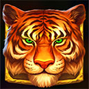 Fire Temple Hold and Win Symbol Tiger