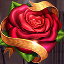 Gladiatoro Symbol Rose